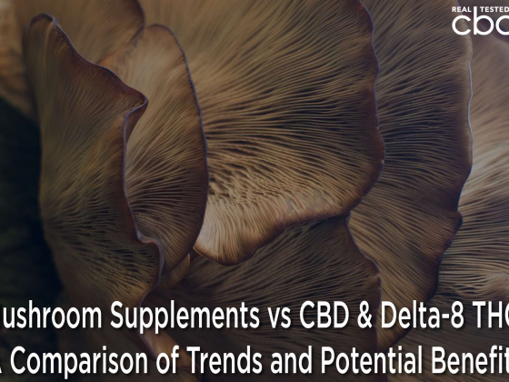 Mushroom Supplements vs CBD & Delta-8 THC: A Comparison of Trends and Potential Benefits