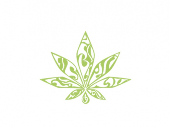 Lokahi Leaf’s Journey: Where Healing Begins