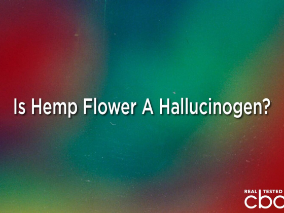 Is Hemp Flower A Hallucinogen? — Understanding Hemp CBD's Psychoactive Potential