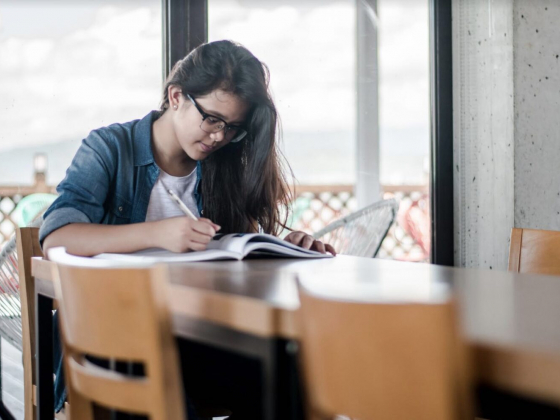 The Pros and Cons of Studying in LA
