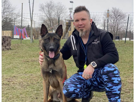 Unleashing Unparalleled Protection: The Benefits of International Defense K9s Security Dog Services