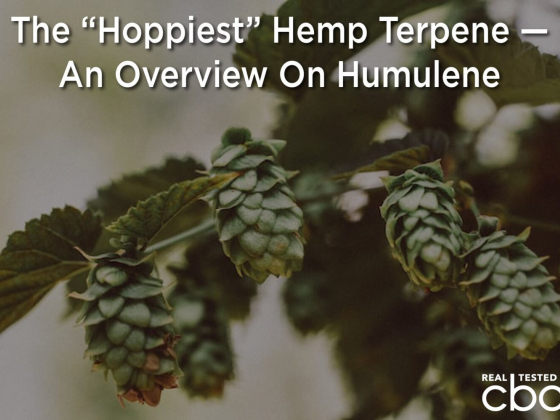 The Hoppiest” Hemp Terpene — An Overview On Humulene