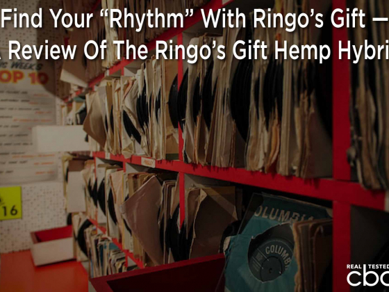 Find Your Rhythm” With Ringo’s Gift — A Review Of The Ringo’s Gift Hemp Hybrid 