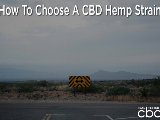 How To Choose A CBD Hemp Strain — Tips For Picking The Perfect Hemp Flower
