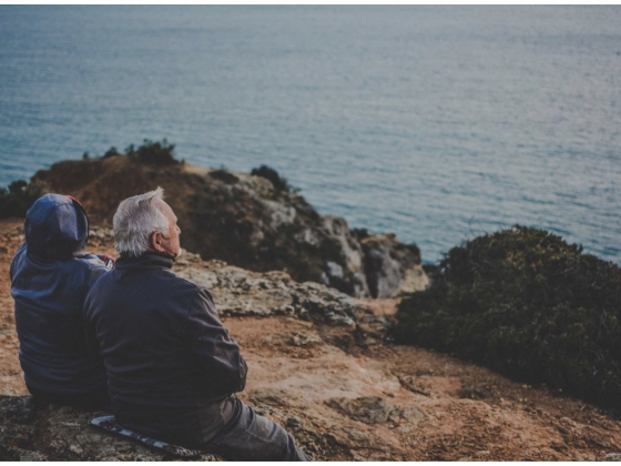 Medterra CBD Gummies vs. FOCL CBD Gummies: A Holistic Experience Like No Other