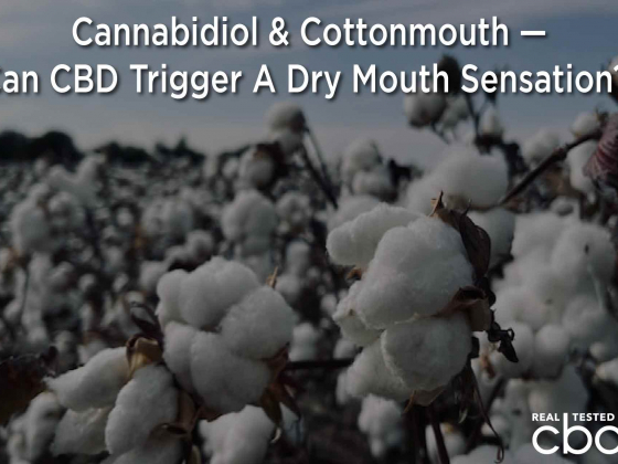 Cannabidiol & Cottonmouth — Can CBD Trigger A Dry Mouth Sensation?