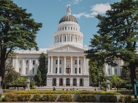Cannabis Industry Approves of Newsom’s Actions to Preserve Branding and Licenses