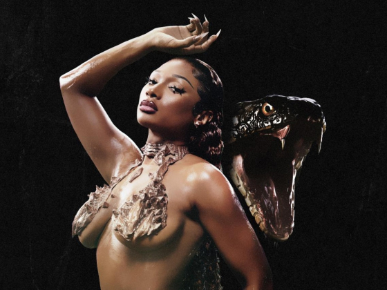 Megan Thee Stallion and Spiritbox Collab on Cobra