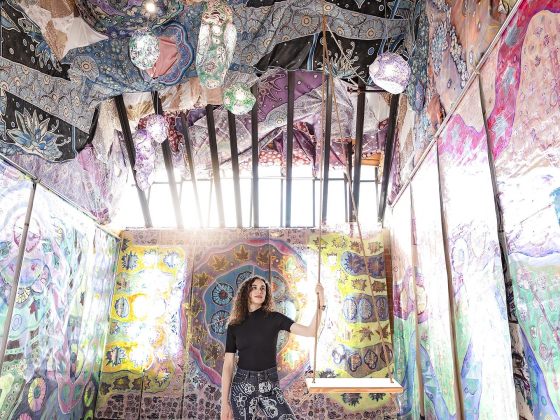 Meet Analog Immersion Painter Laurie Shapiro